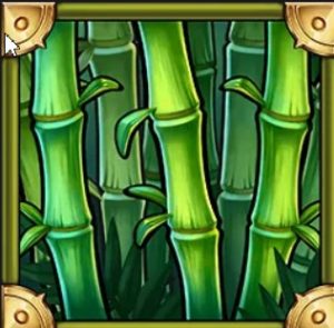 Mystery Bamboo